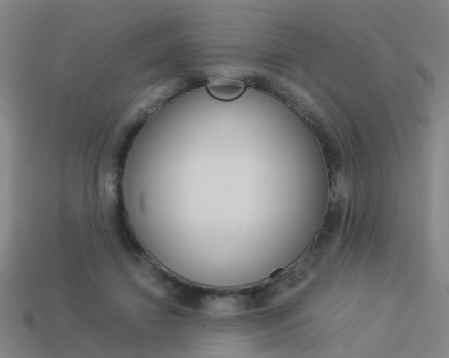 X0000113990452200910021013