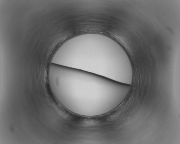 X0000113990453200910021013