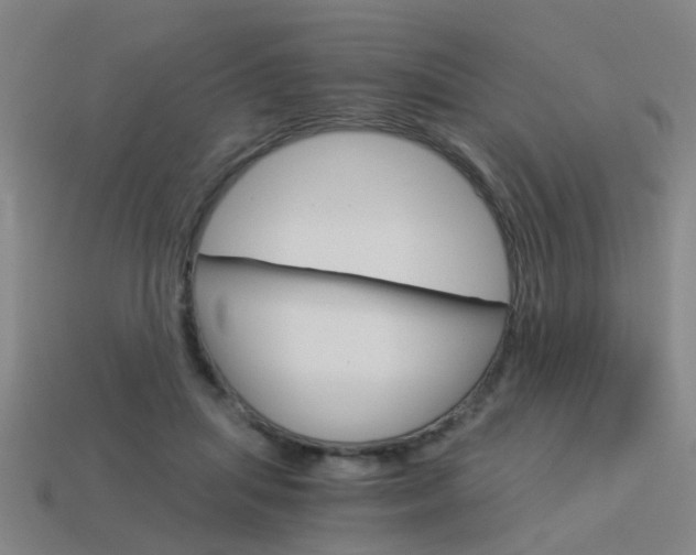 X0000113990455200910021013