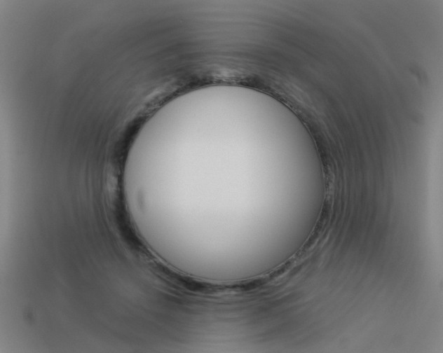 X0000113990456200910021013