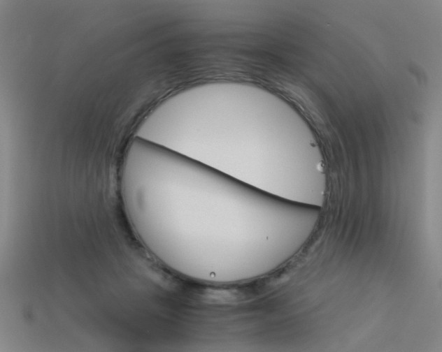 X0000113990457200910021013