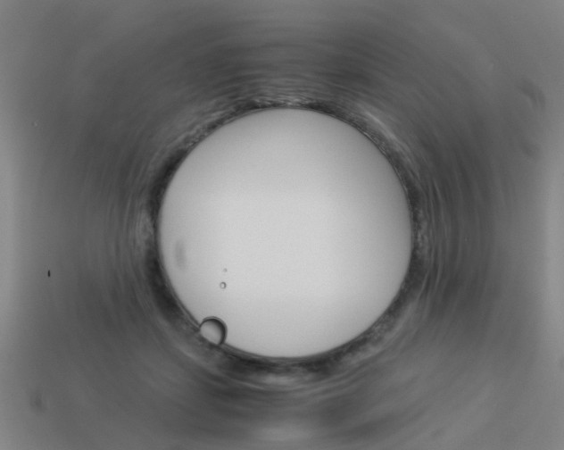 X0000113990459200910021013