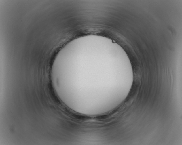 X0000113990460200910021013