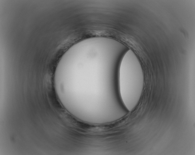 X0000113990461200910021013