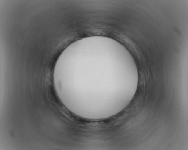 X0000113990465200910021013