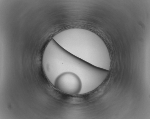 X0000113990466200910021013