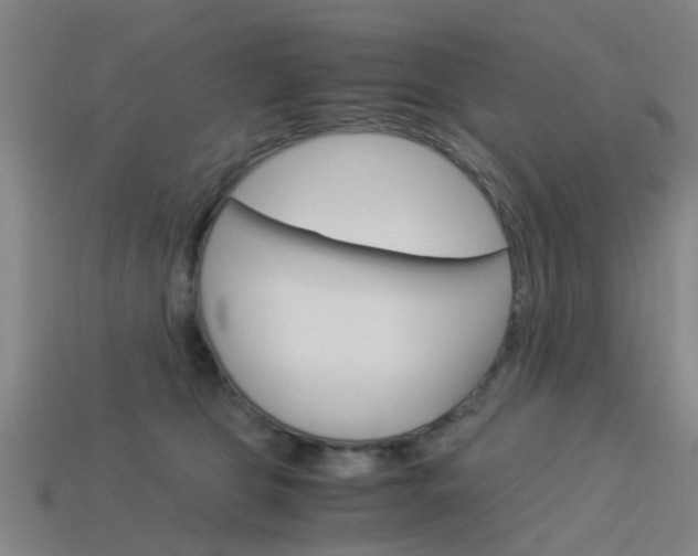 X0000113990469200910021013