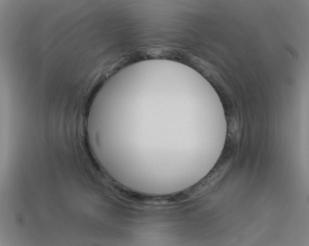 X0000113990470200910021013