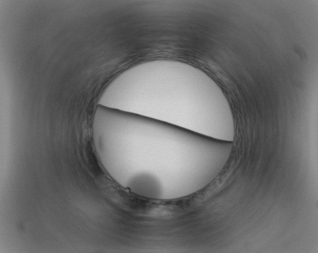 X0000113990471200910021013