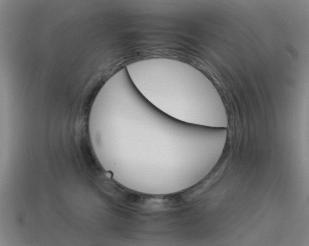 X0000113990473200910021013