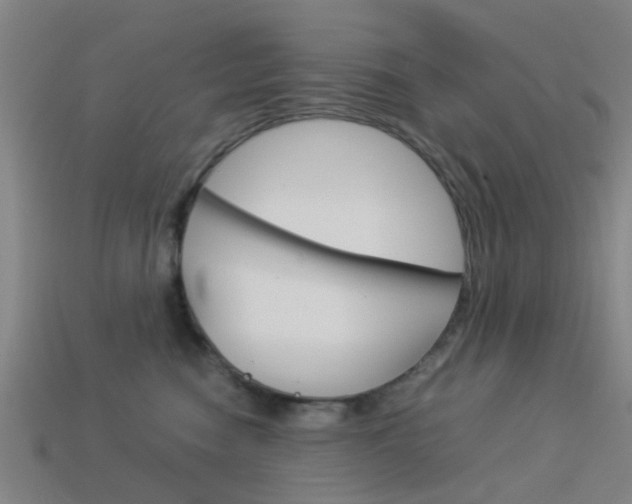 X0000113990474200910021013