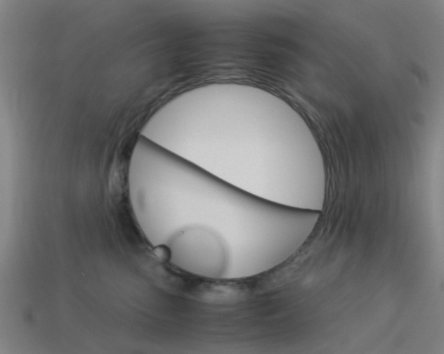 X0000113990475200910021013