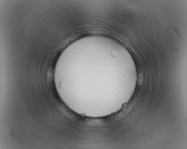 X0000113990476200910021013