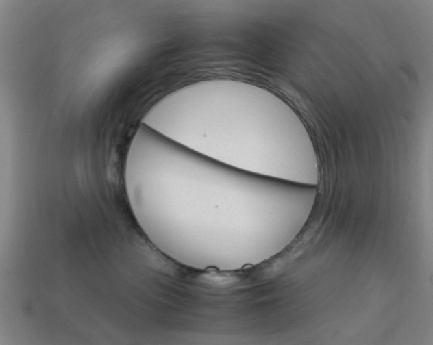 X0000113990477200910021013