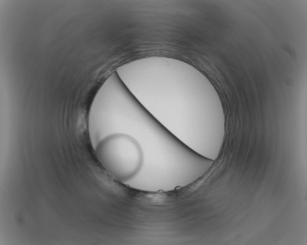 X0000113990478200910021013