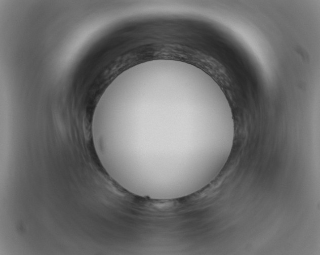 X0000113990479200910021013
