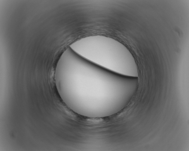 X0000113990480200910021013