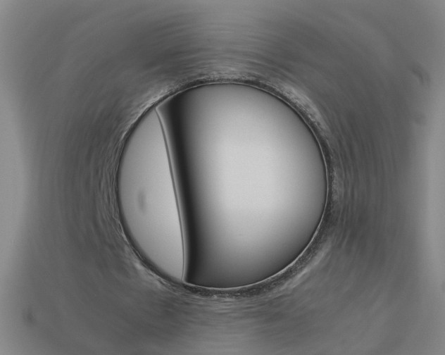 X0000113990481200910021013