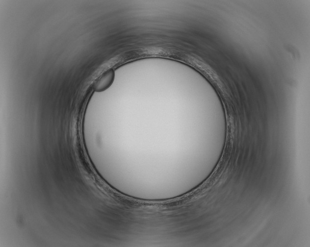 X0000113990482200910021013