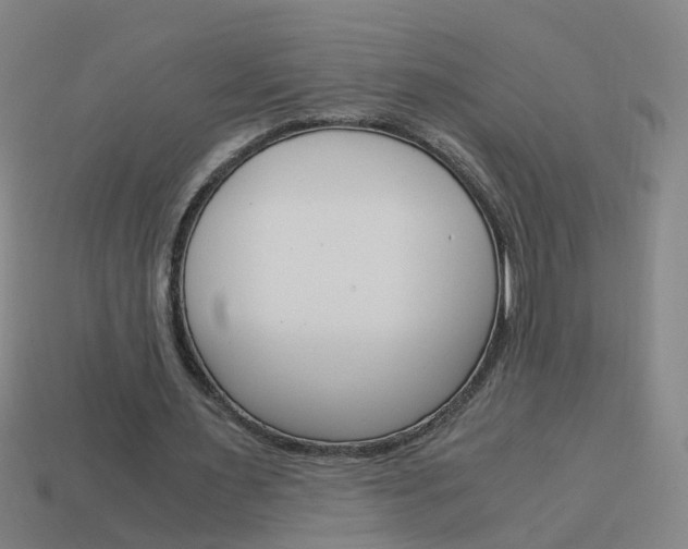 X0000113990483200910021013