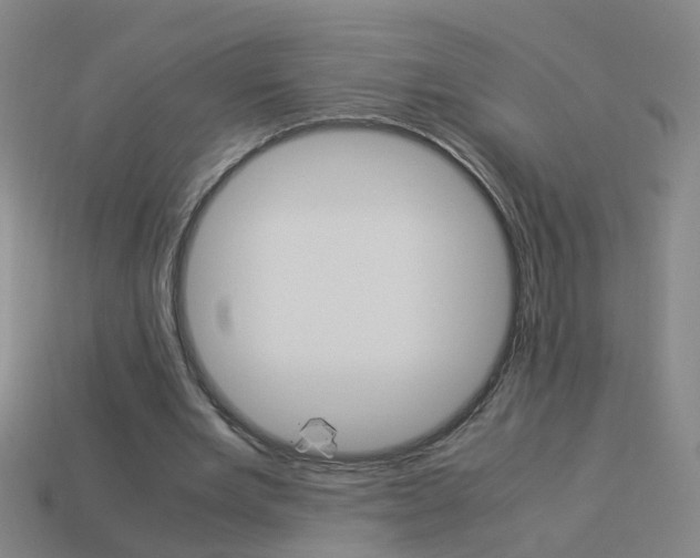 X0000113990485200910021013