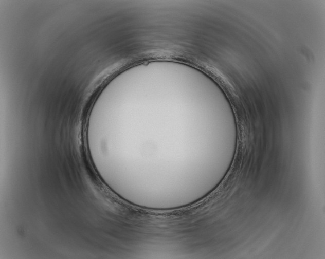 X0000113990486200910021013