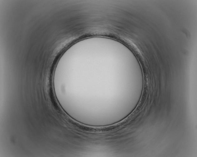 X0000113990487200910021013