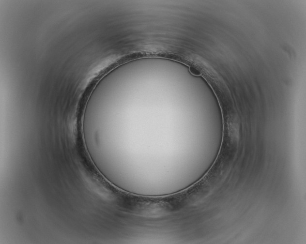 X0000113990488200910021013