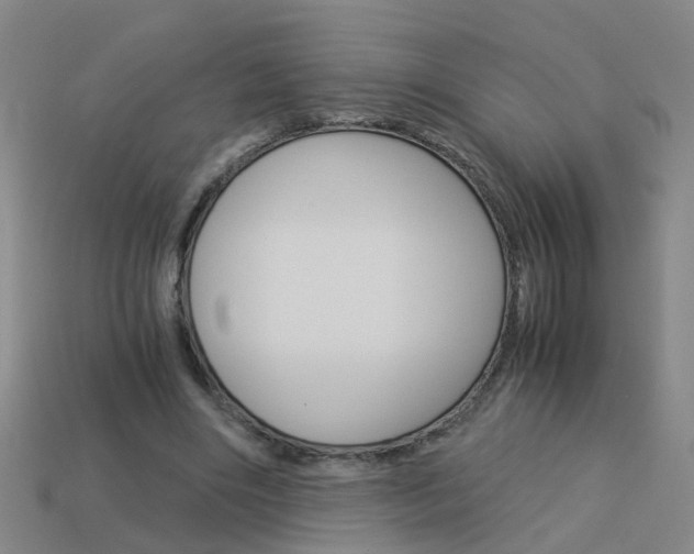 X0000113990490200910021013