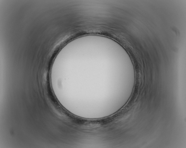 X0000113990491200910021013