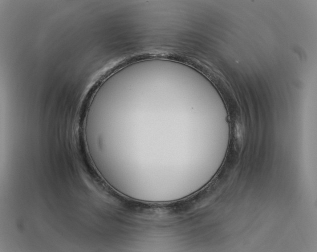 X0000113990492200910021013