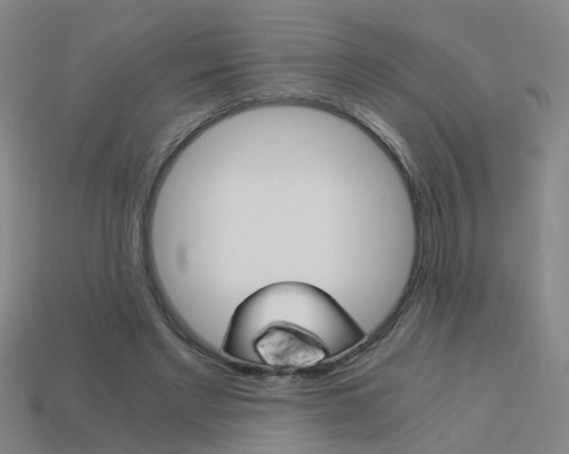 X0000113990493200910021013
