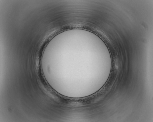 X0000113990494200910021013