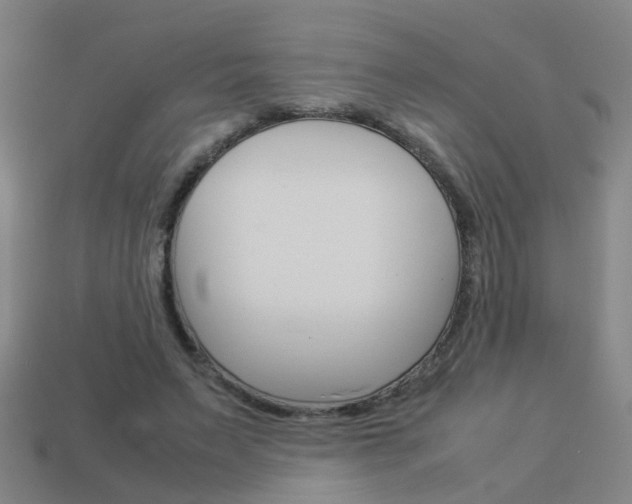 X0000113990495200910021013