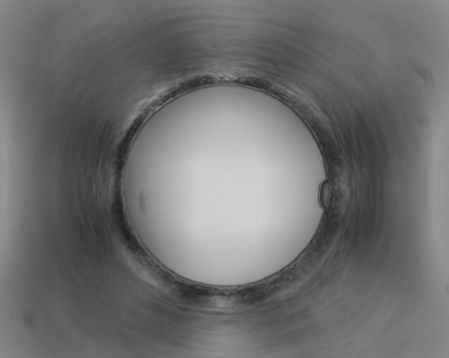 X0000113990496200910021013