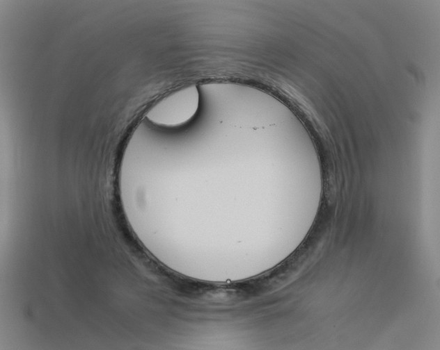 X0000113990497200910021013