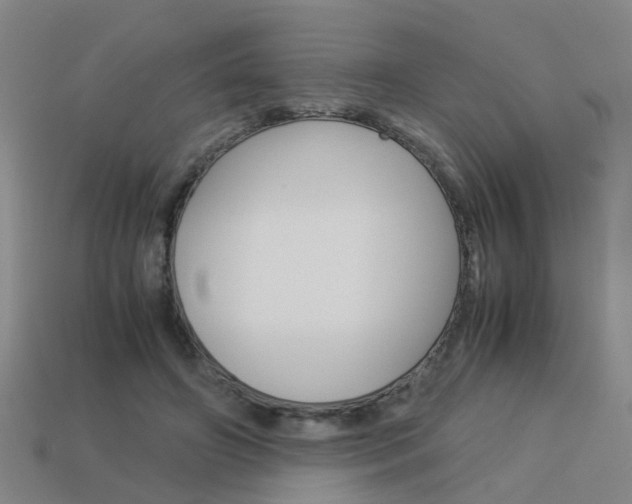 X0000113990498200910021013