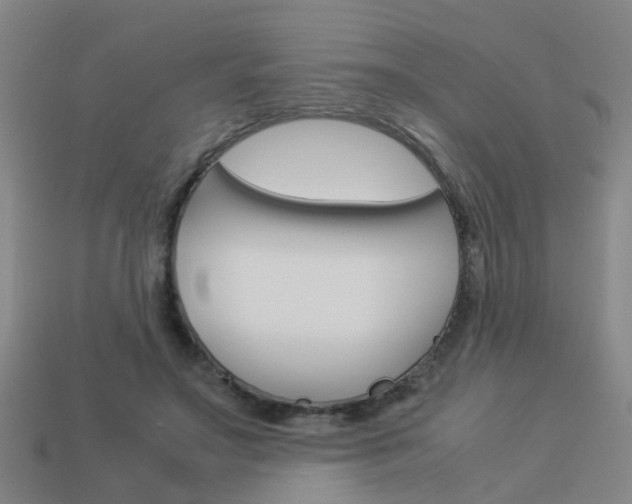 X0000113990499200910021013