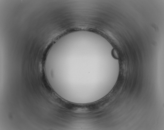 X0000113990500200910021013