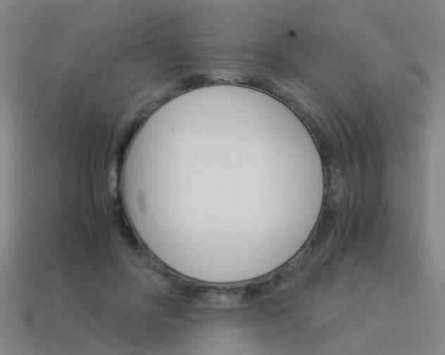 X0000113990502200910021013