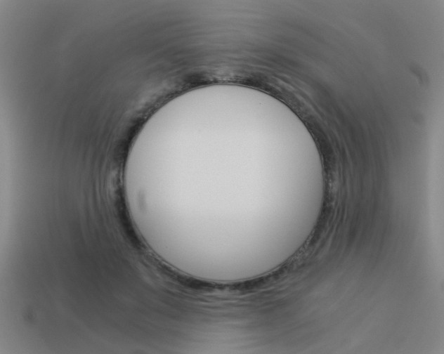 X0000113990503200910021013