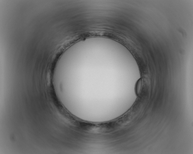 X0000113990504200910021012