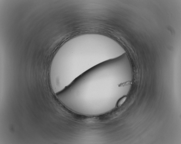 X0000113990505200910021012