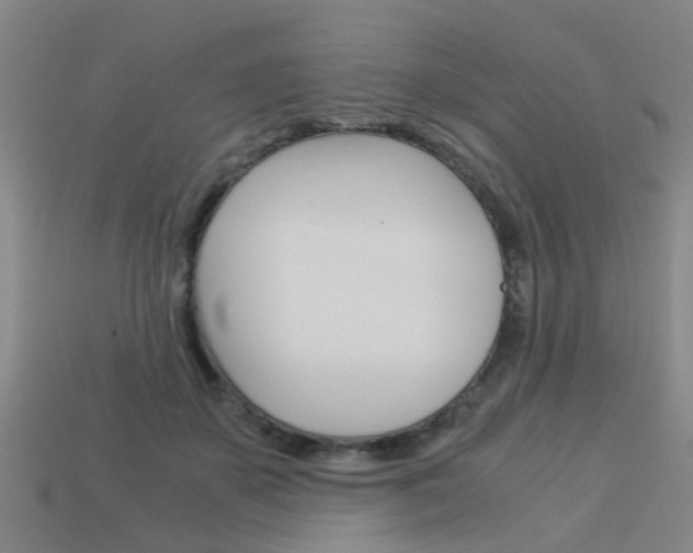 X0000113990507200910021012