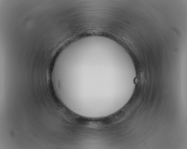 X0000113990508200910021012