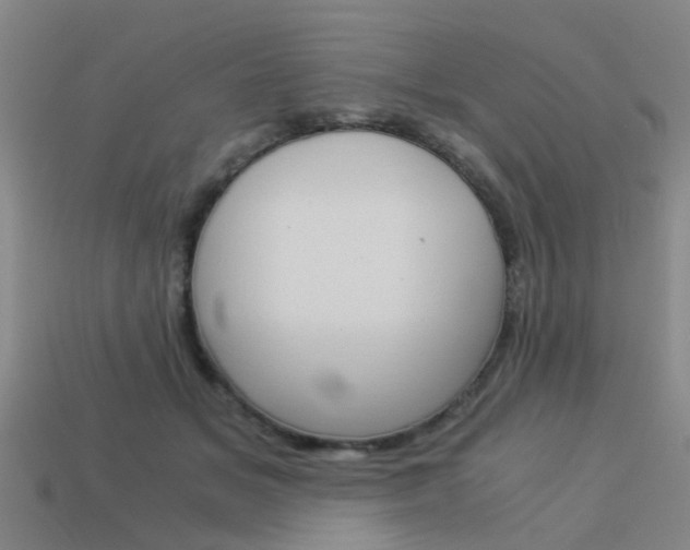 X0000113990509200910021012