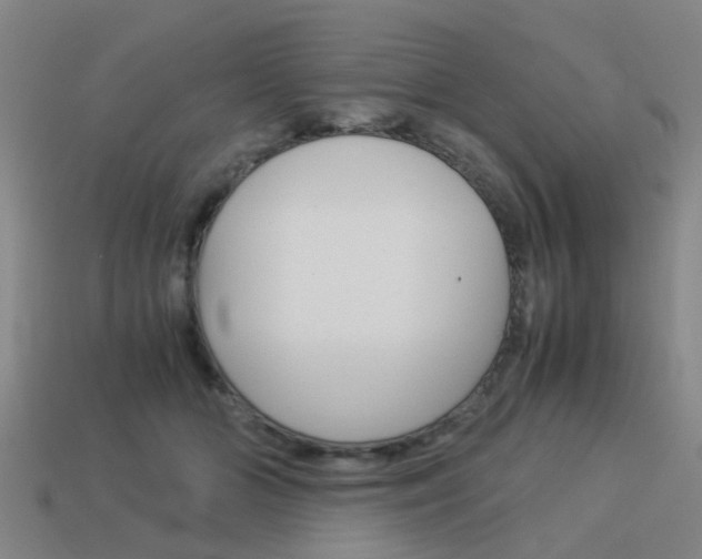 X0000113990510200910021012