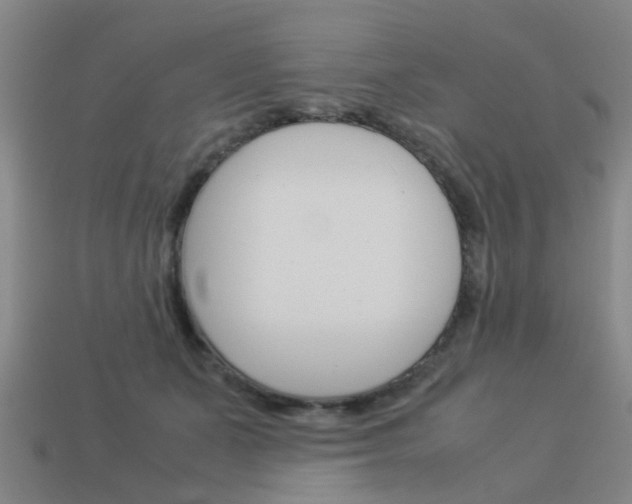 X0000113990511200910021012