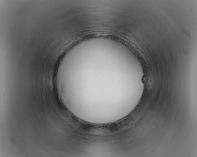 X0000113990512200910021012