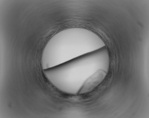 X0000113990513200910021012